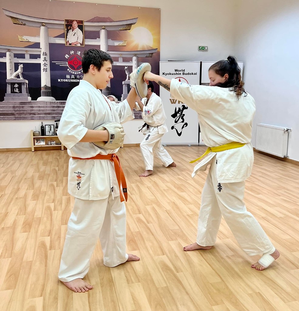 WKB Seishin Sportegyesület heti munka