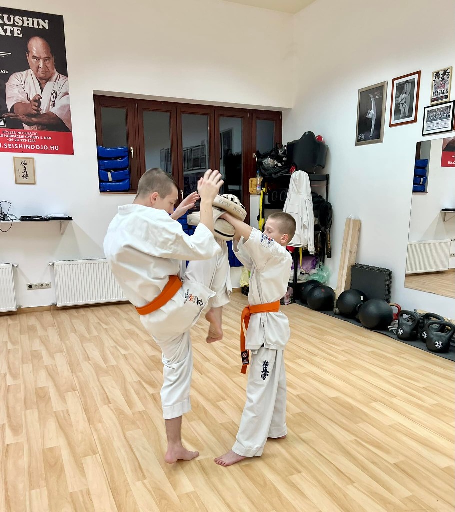 WKB Seishin Sportegyesület heti munka