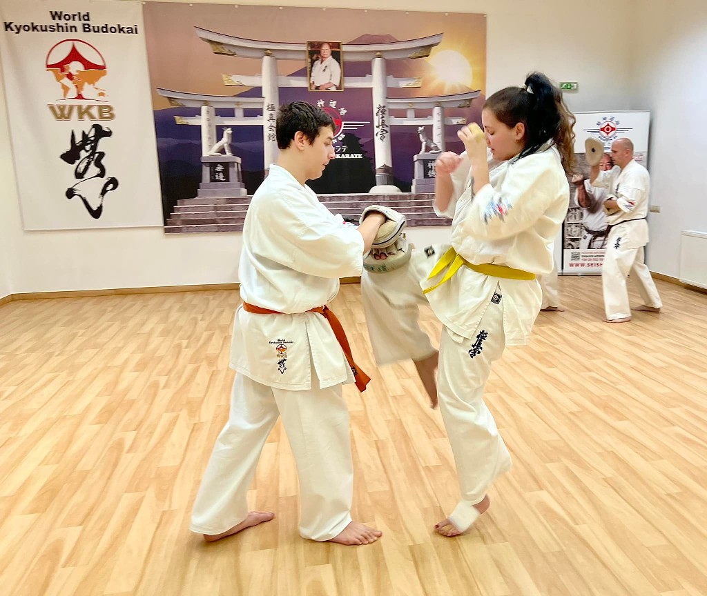 WKB Seishin Sportegyesület heti munka