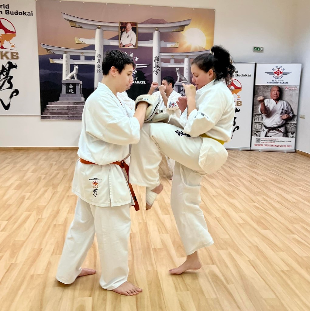 WKB Seishin Sportegyesület heti munka