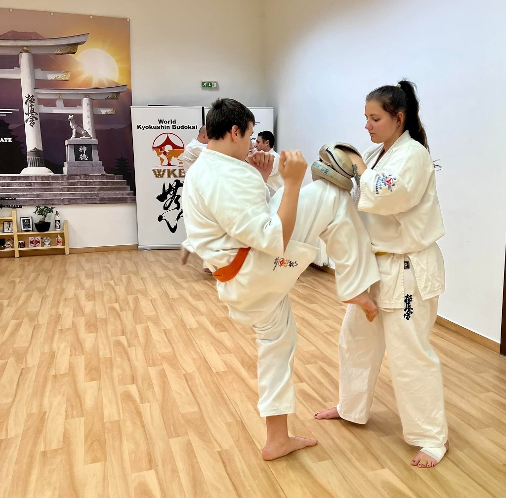 WKB Seishin Sportegyesület heti munka