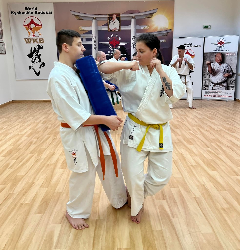 WKB Seishin Sportegyesület heti munka