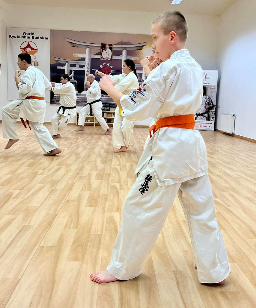 WKB Seishin Sportegyesület heti munka