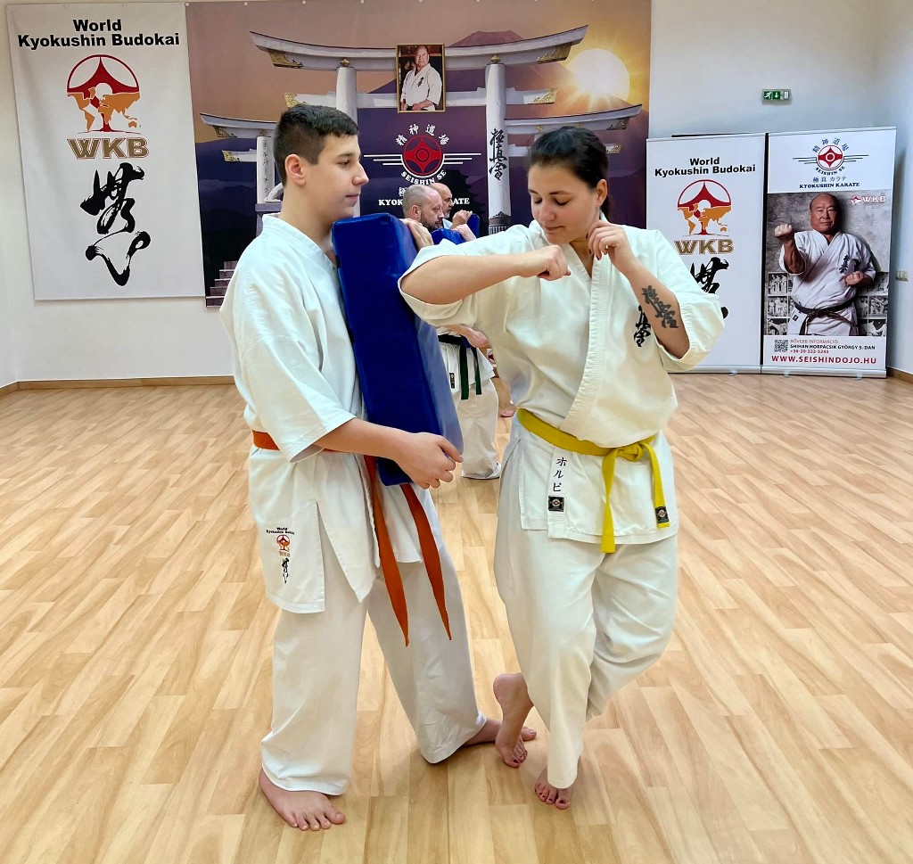 WKB Seishin Sportegyesület heti munka
