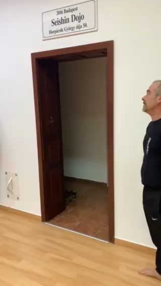 Meglepetés a Dojoban