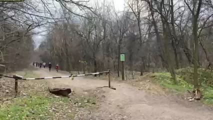 Seishin Dojo XII. Családi Terepfutás