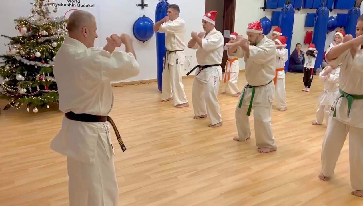 Seishin karácsonyfa közös díszítése 🎄🎅🏻🥋⛩