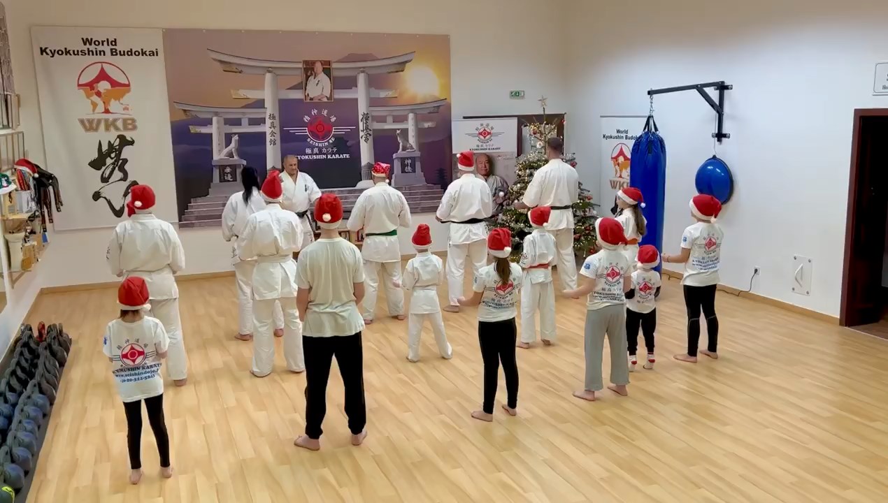 Seishin karácsonyfa közös díszítése 🎄🎅🏻🥋⛩