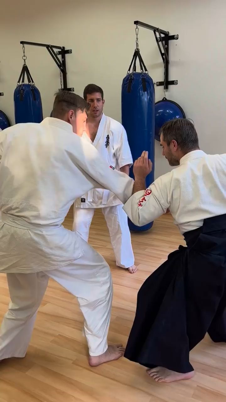 Soshi Tanaka Koshiro látogatása a Seishin Dojoban