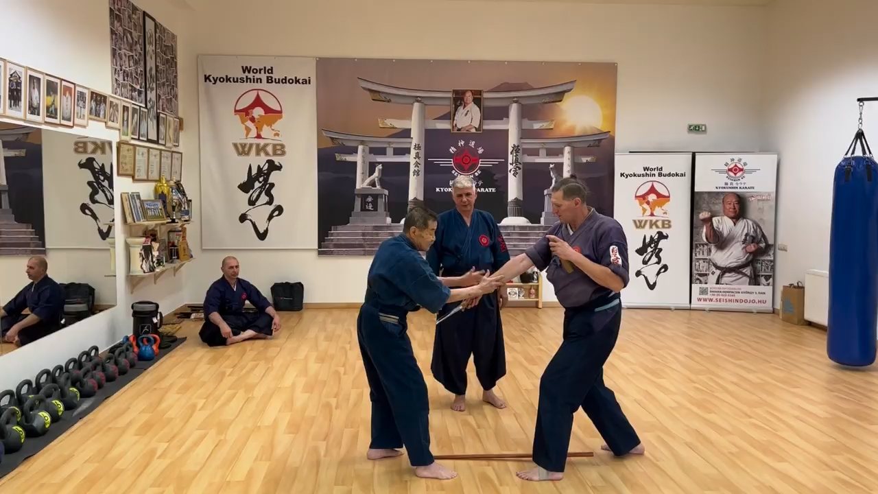 Soshi Tanaka Koshiro látogatása a Seishin Dojoban