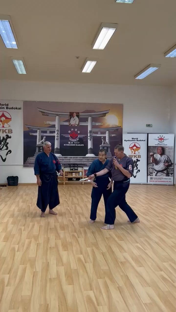Soshi Tanaka Koshiro látogatása a Seishin Dojoban