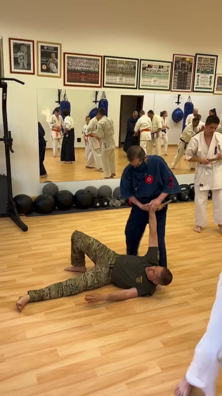 Soshi Tanaka Koshiro látogatása a Seishin Dojoban