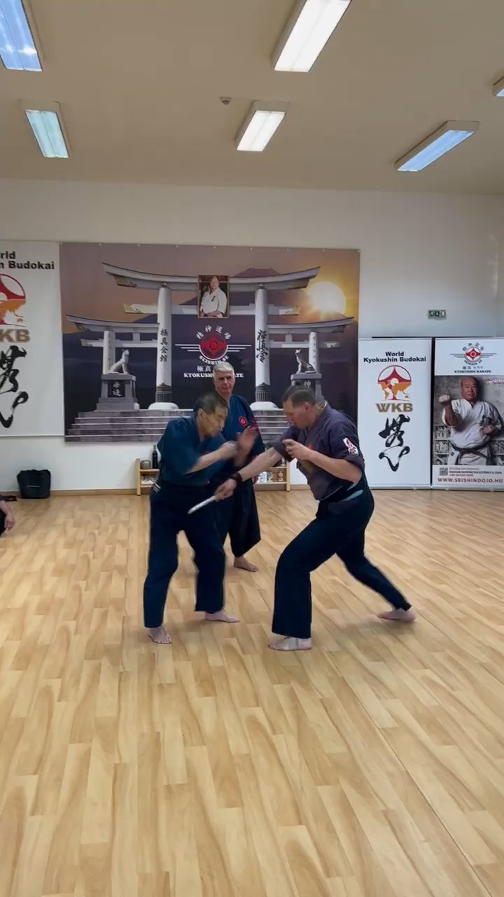 Soshi Tanaka Koshiro látogatása a Seishin Dojoban