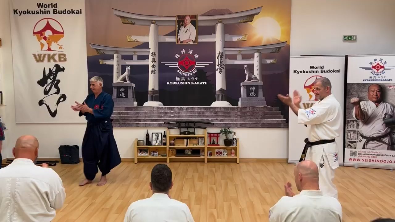 Soshi Tanaka Koshiro látogatása a Seishin Dojoban