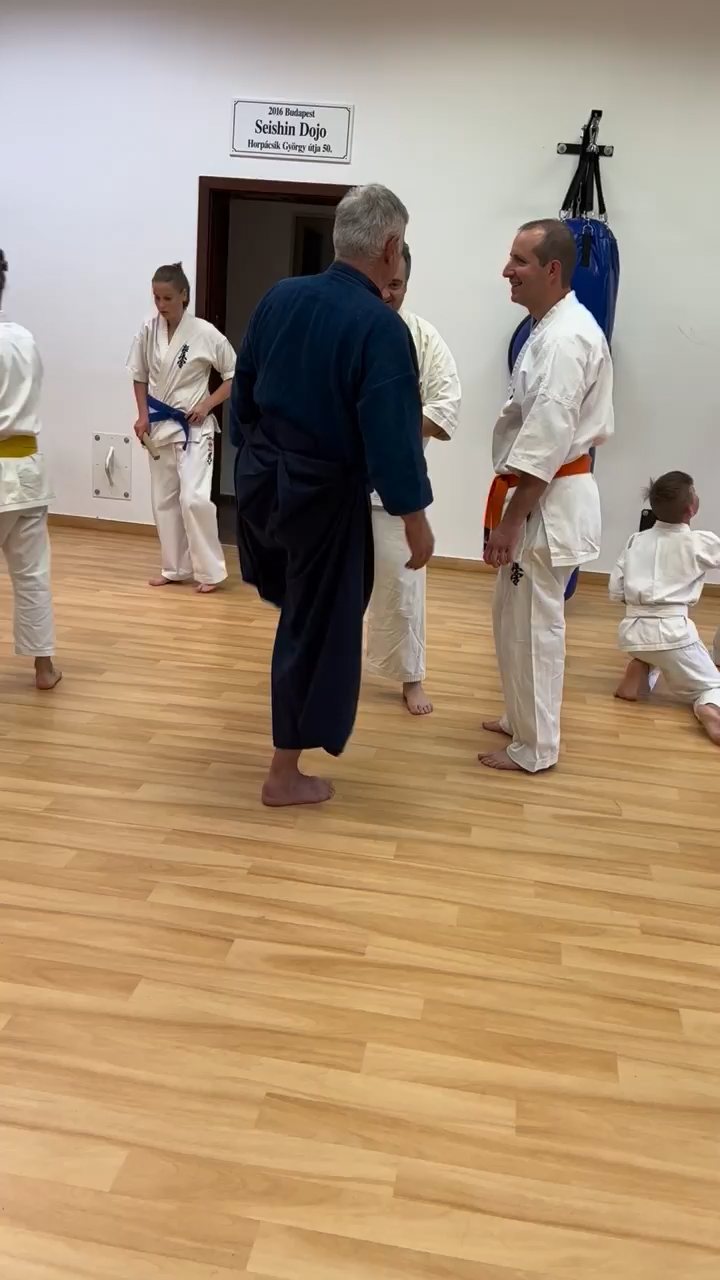 Soshi Tanaka Koshiro látogatása a Seishin Dojoban