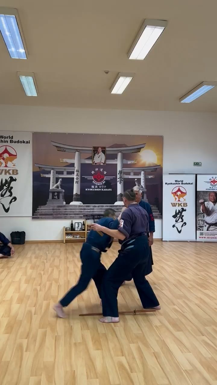 Soshi Tanaka Koshiro látogatása a Seishin Dojoban