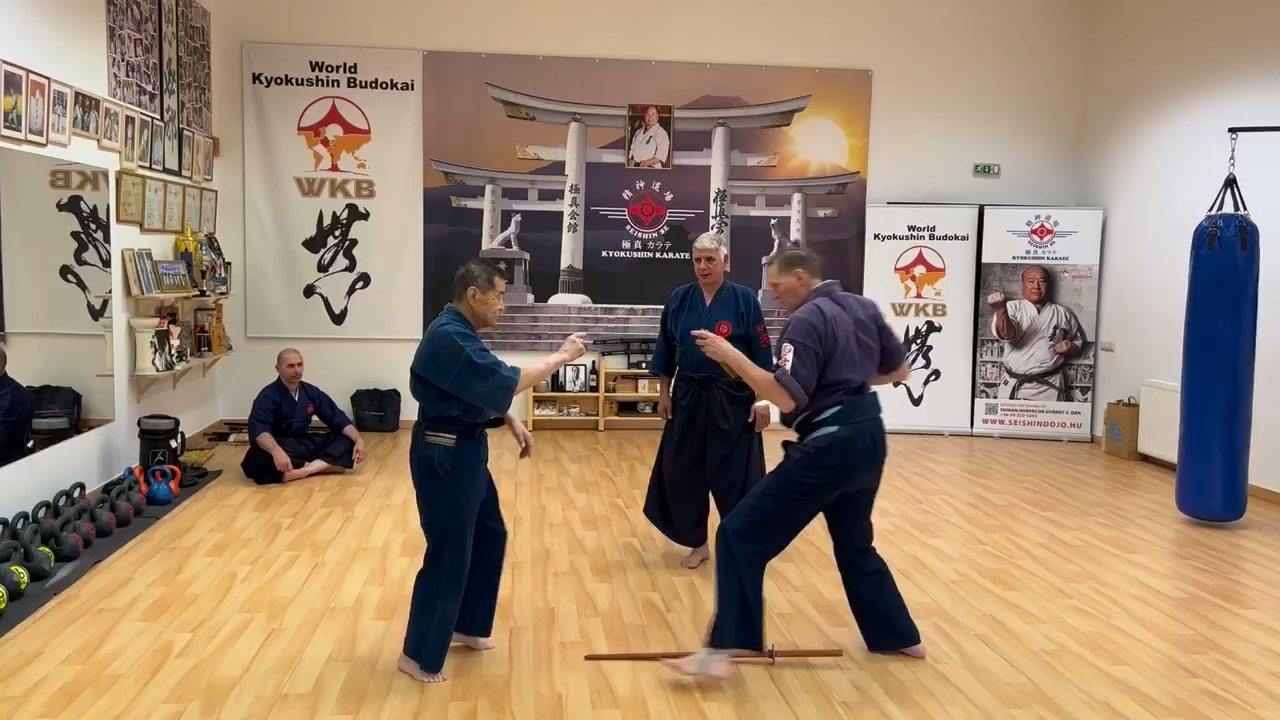 Soshi Tanaka Koshiro látogatása a Seishin Dojoban