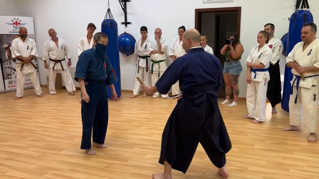 Soshi Tanaka Koshiro látogatása a Seishin Dojoban
