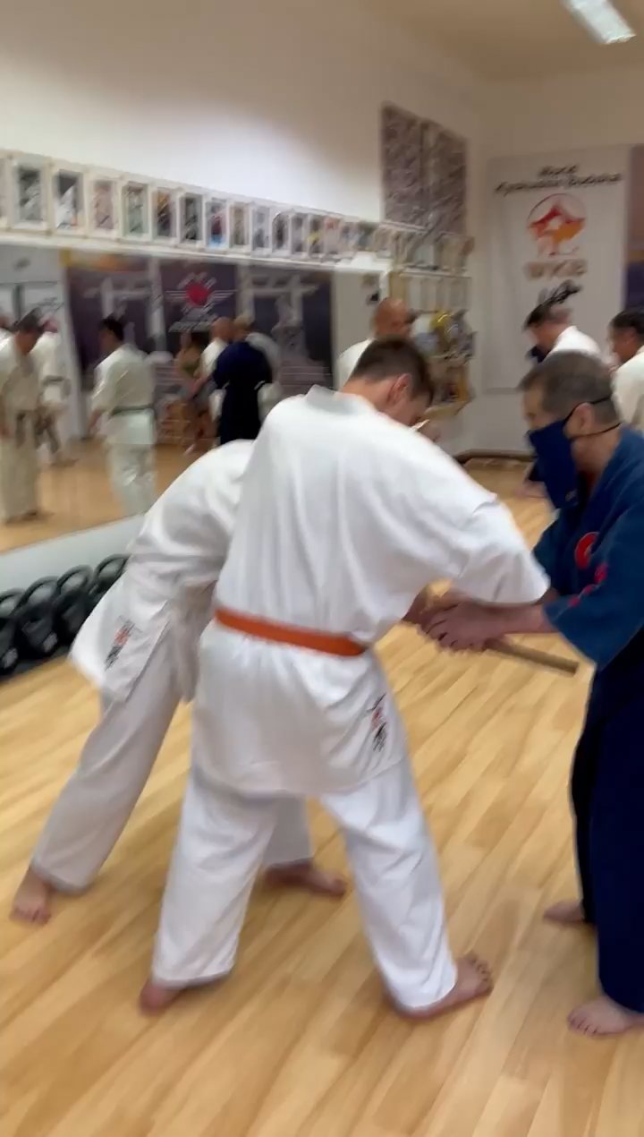 Soshi Tanaka Koshiro látogatása a Seishin Dojoban
