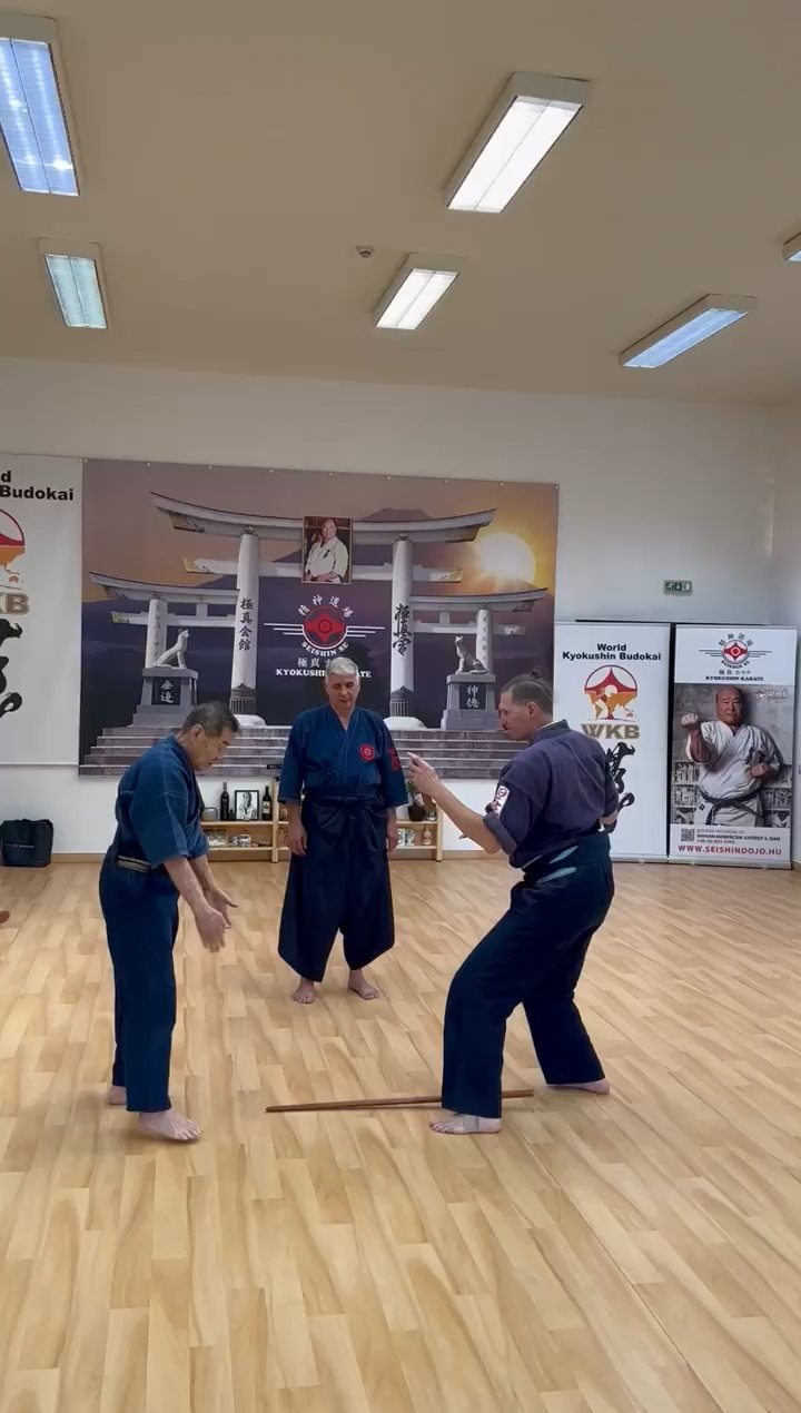 Soshi Tanaka Koshiro látogatása a Seishin Dojoban