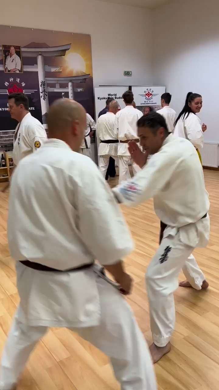 Soshi Tanaka Koshiro látogatása a Seishin Dojoban