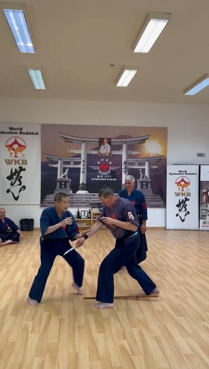Soshi Tanaka Koshiro látogatása a Seishin Dojoban