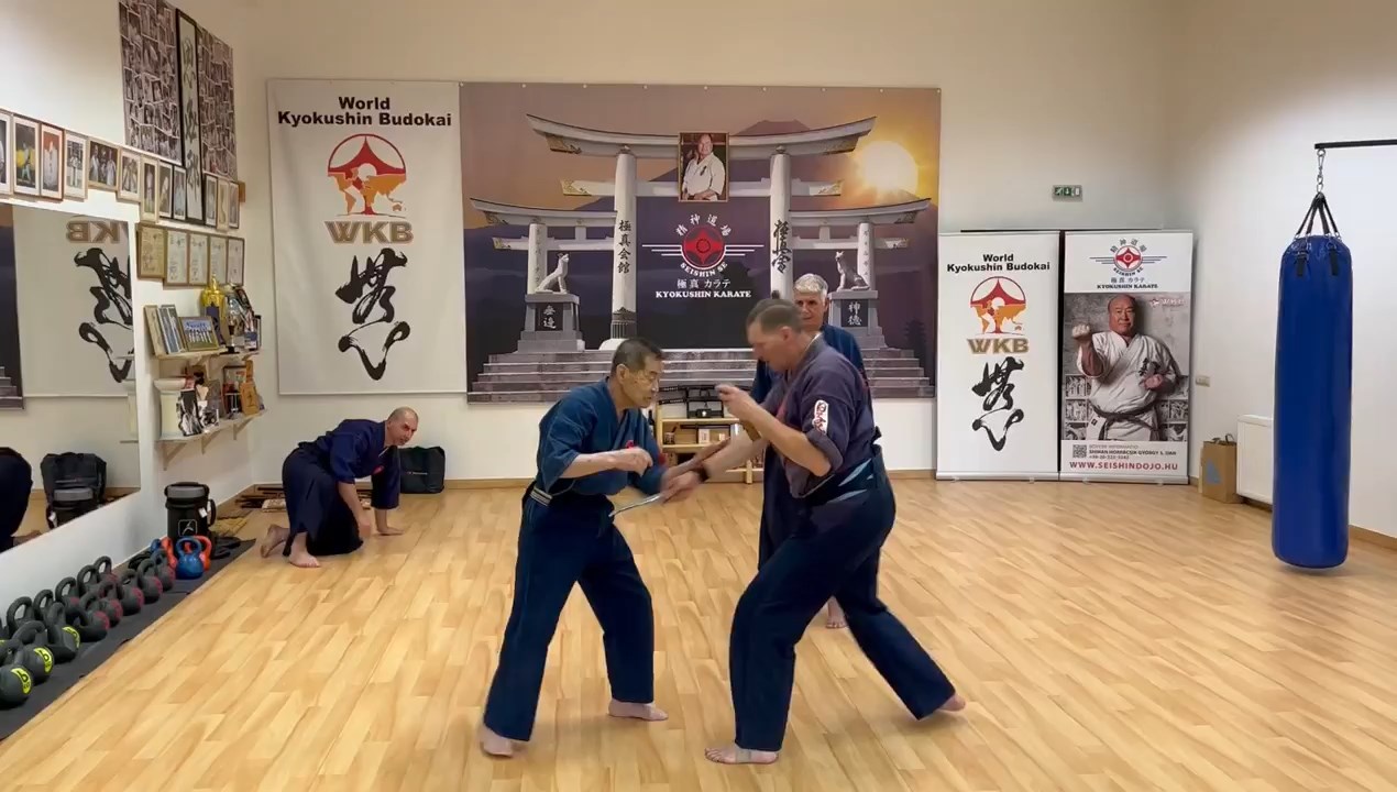 Soshi Tanaka Koshiro látogatása a Seishin Dojoban