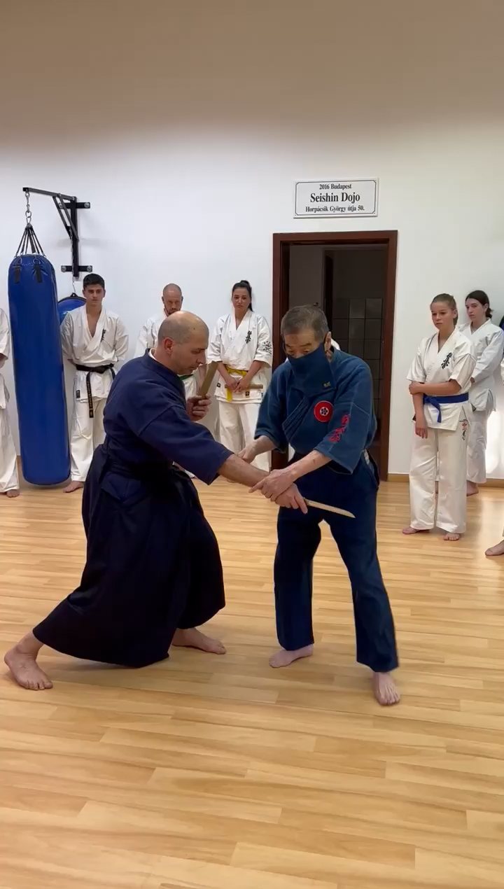 Soshi Tanaka Koshiro látogatása a Seishin Dojoban