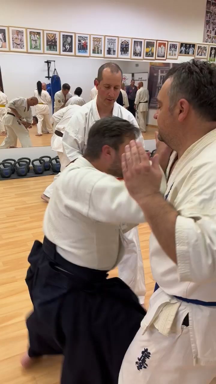 Soshi Tanaka Koshiro látogatása a Seishin Dojoban