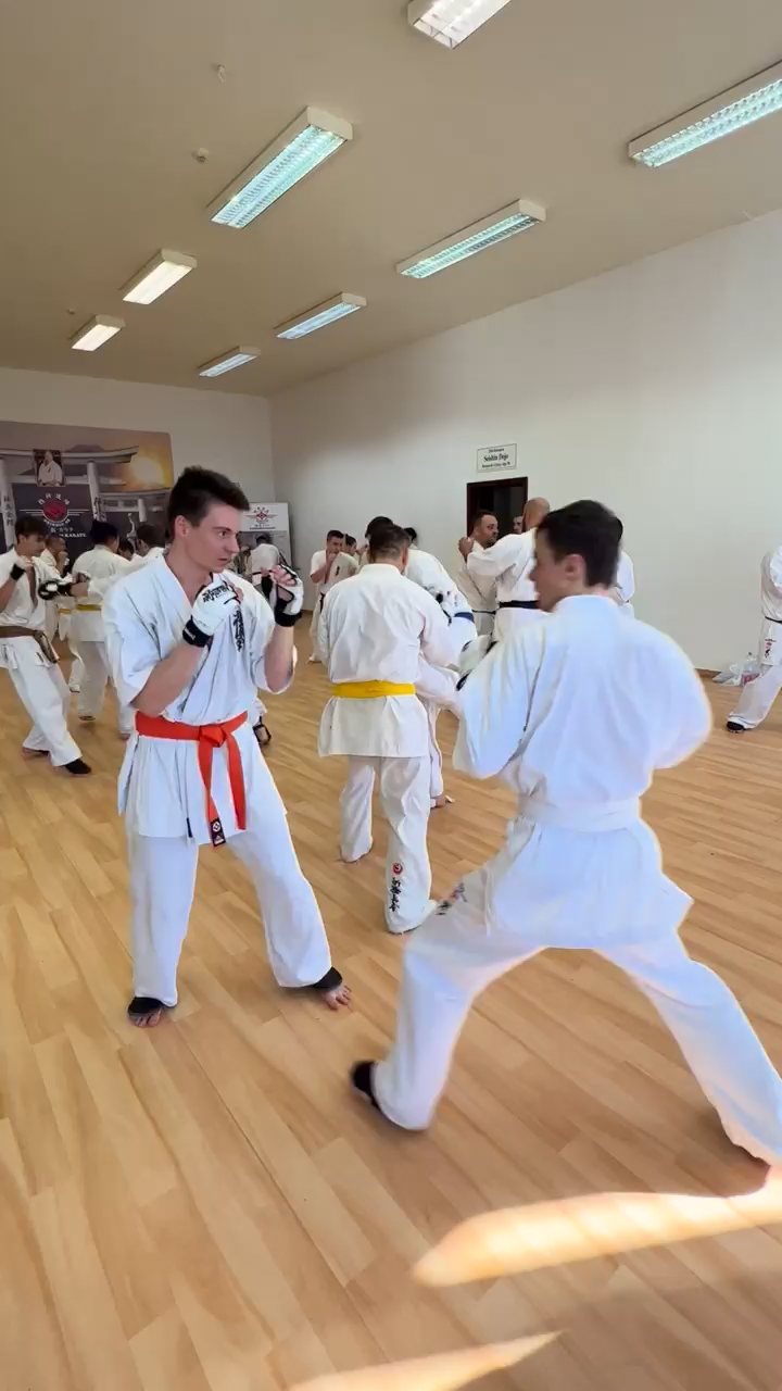 WKB Seishin Branch Tréning 2022/I