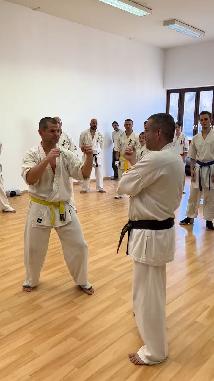 WKB Seishin Branch Tréning 2022/I
