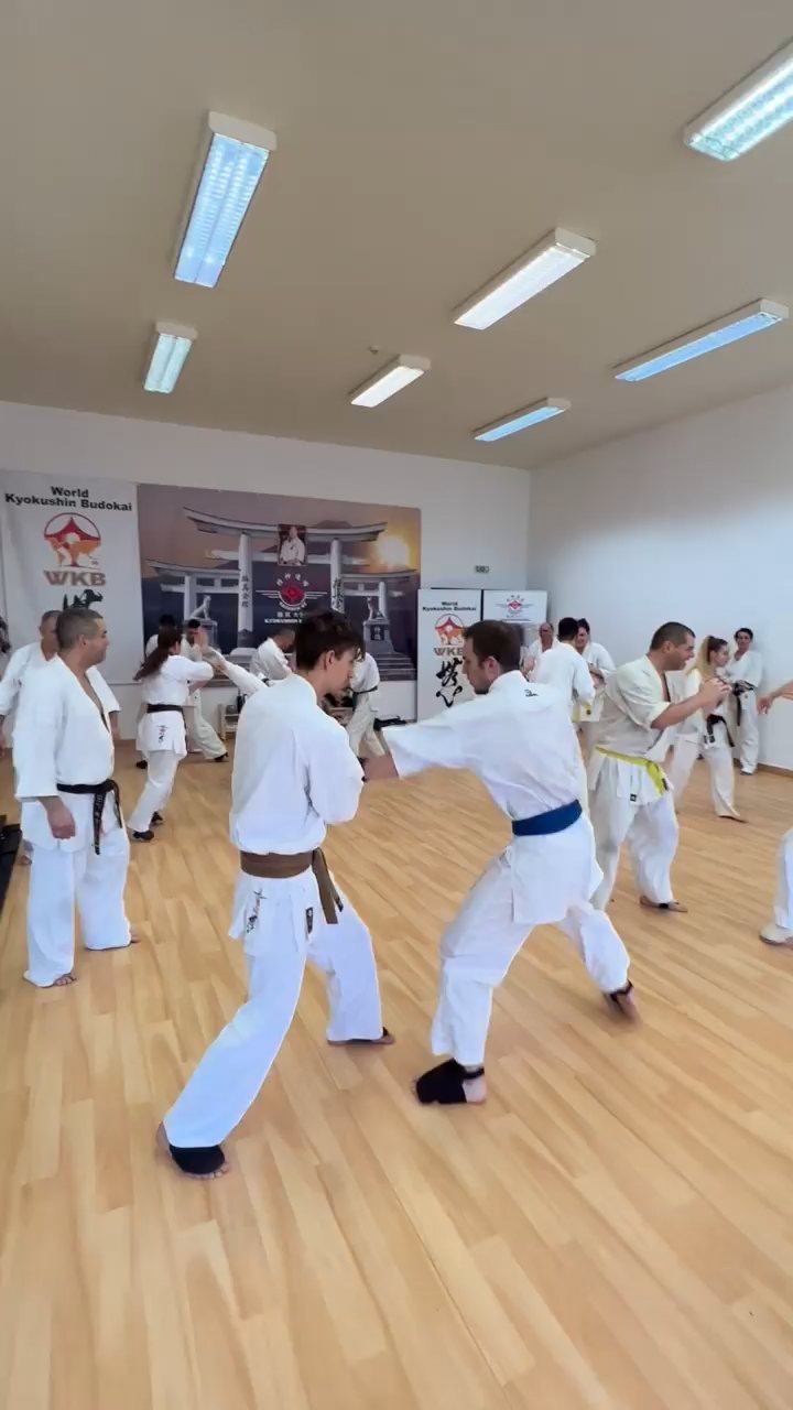 WKB Seishin Branch Tréning 2022/I