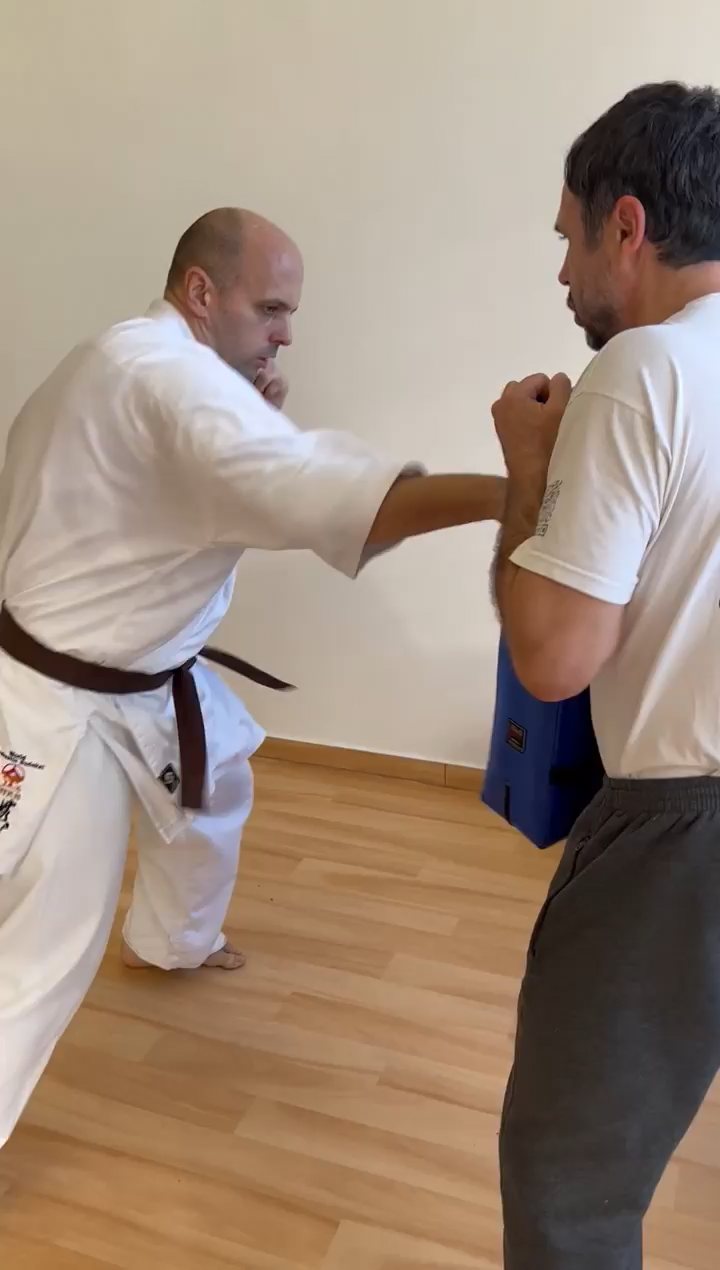 WKB Seishin Branch Tréning 2022/I