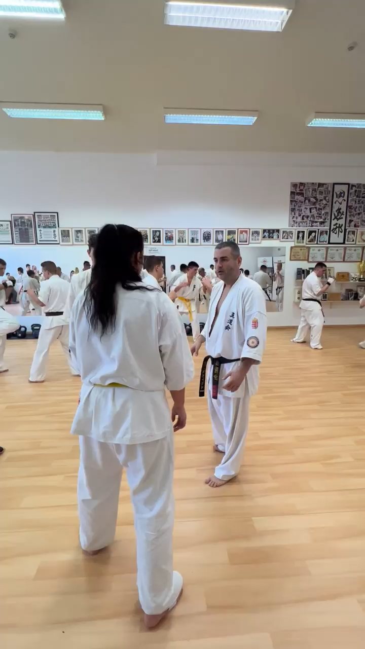 WKB Seishin Branch Tréning 2022/I