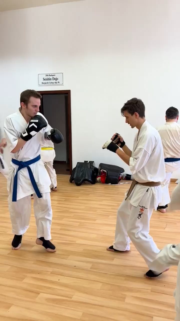WKB Seishin Branch Tréning 2022/I