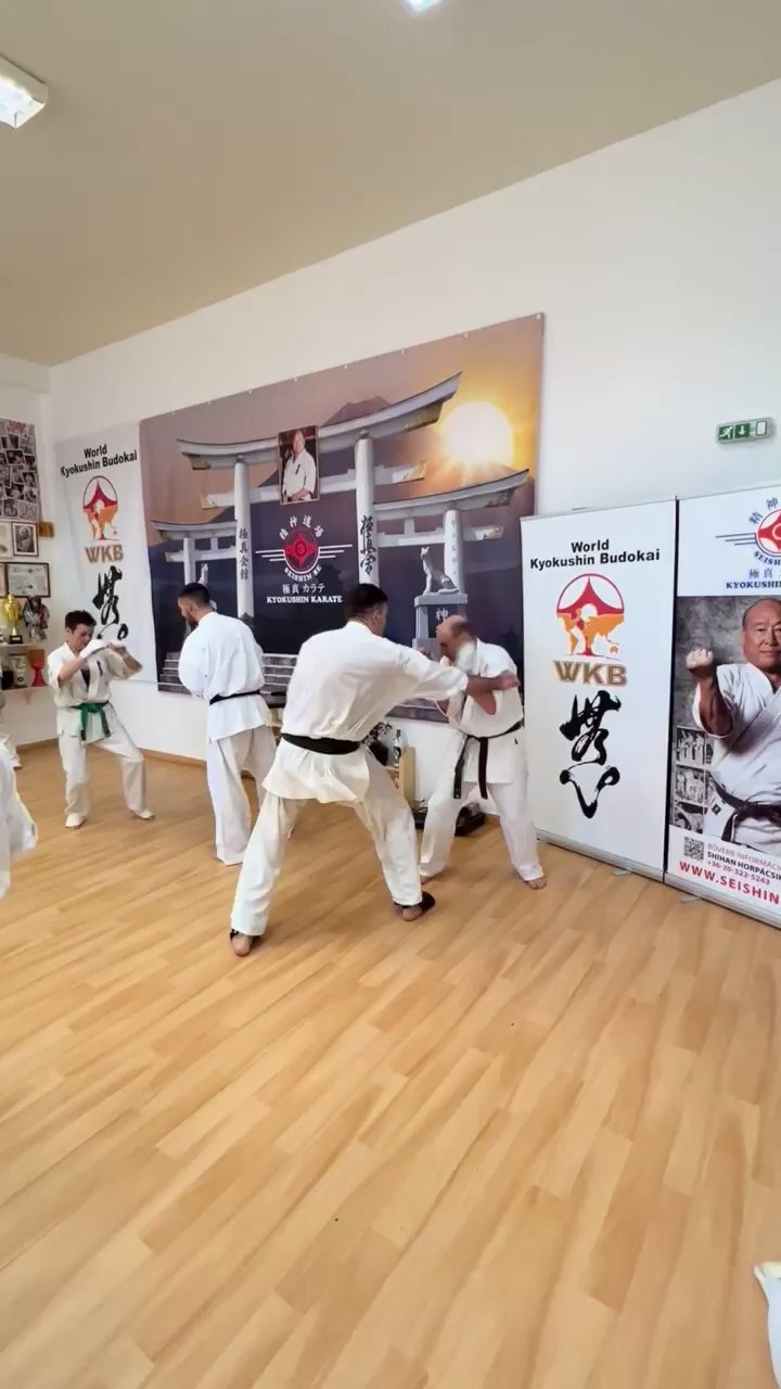 WKB Seishin Branch Tréning 2022/I