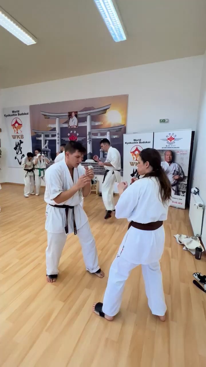 WKB Seishin Branch Tréning 2022/I