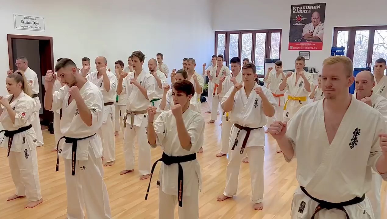 WKB Seishin Branch Tréning 2022/I