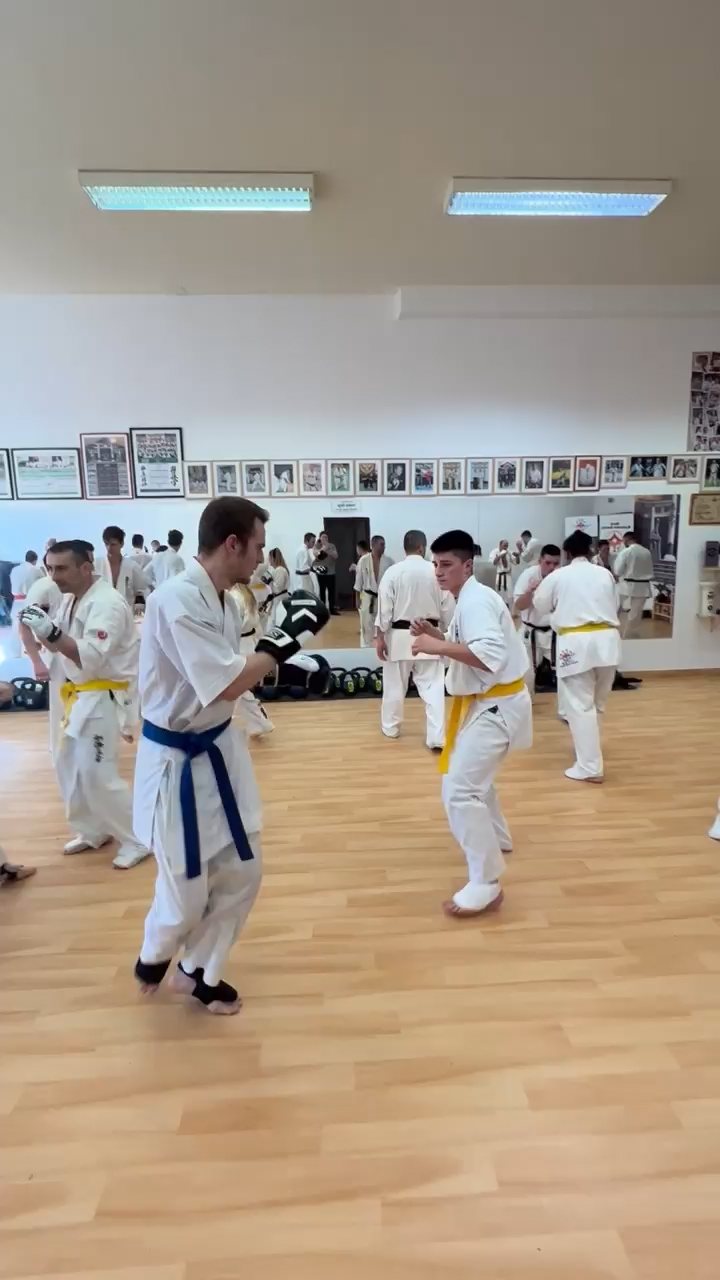 WKB Seishin Branch Tréning 2022/I