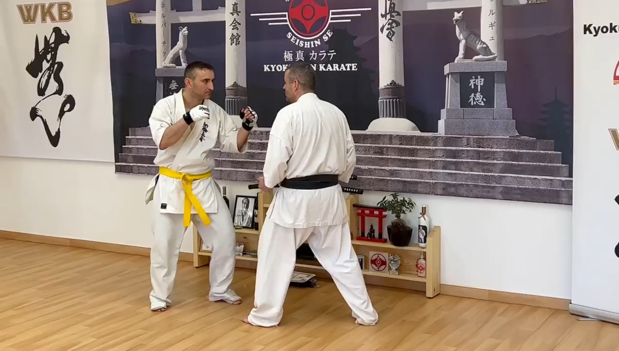 WKB Seishin Branch Tréning 2022/I