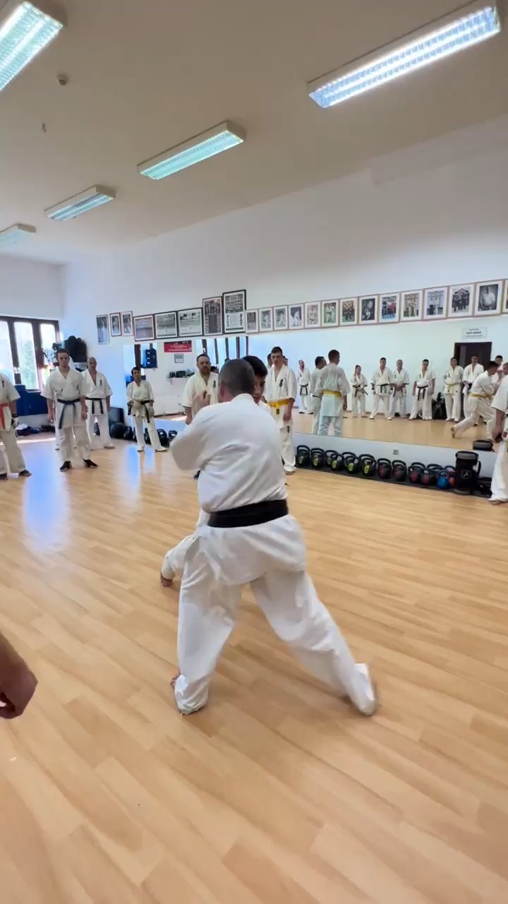WKB Seishin Branch Tréning 2022/I