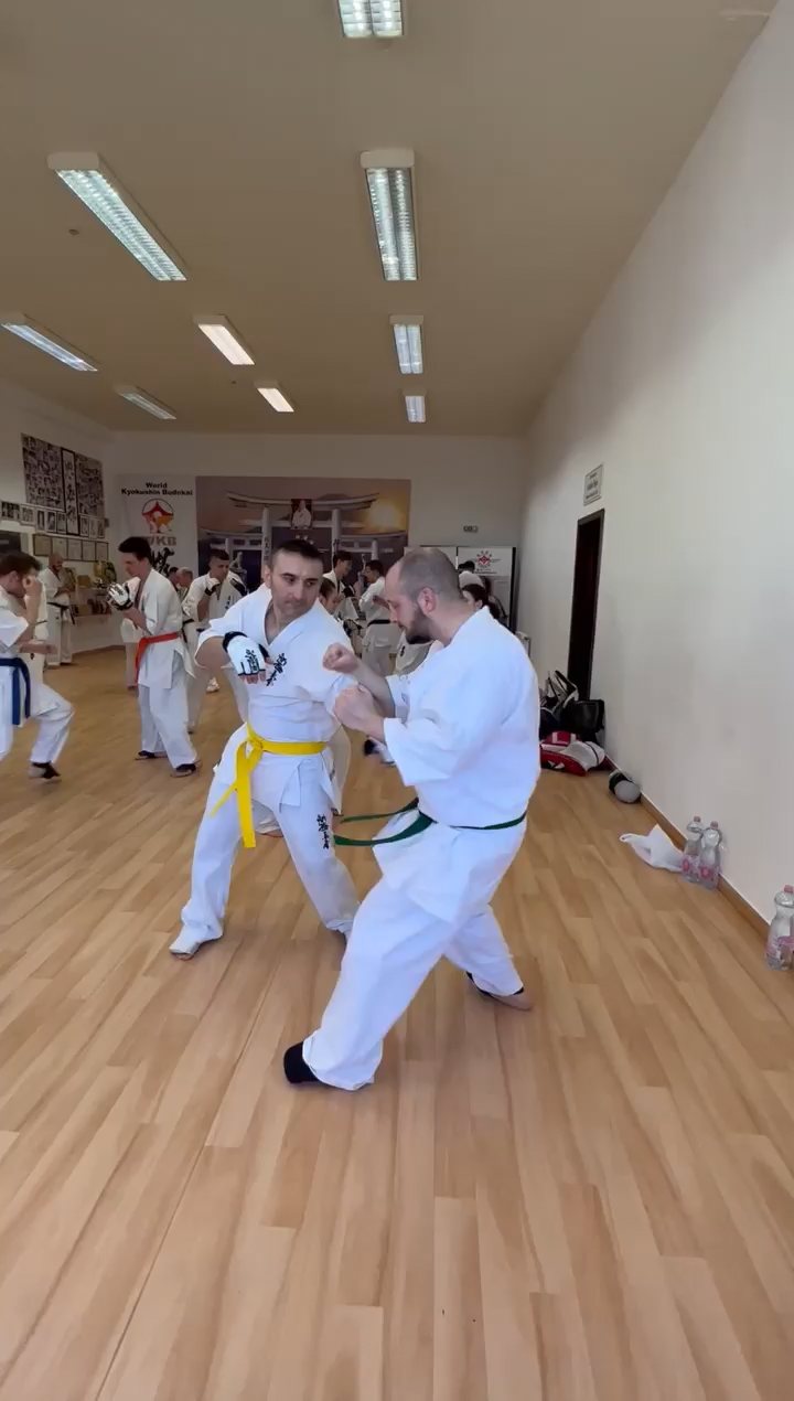 WKB Seishin Branch Tréning 2022/I