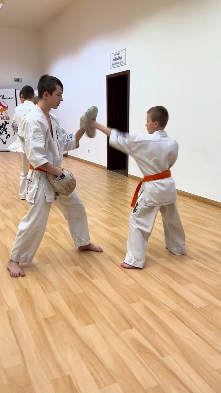 WKB Seishin Dójó - az elmúlt hét ☝️🤩🥋⛩