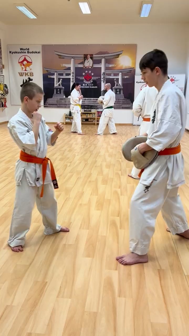 WKB Seishin Dójó - az elmúlt hét ☝️🤩🥋⛩
