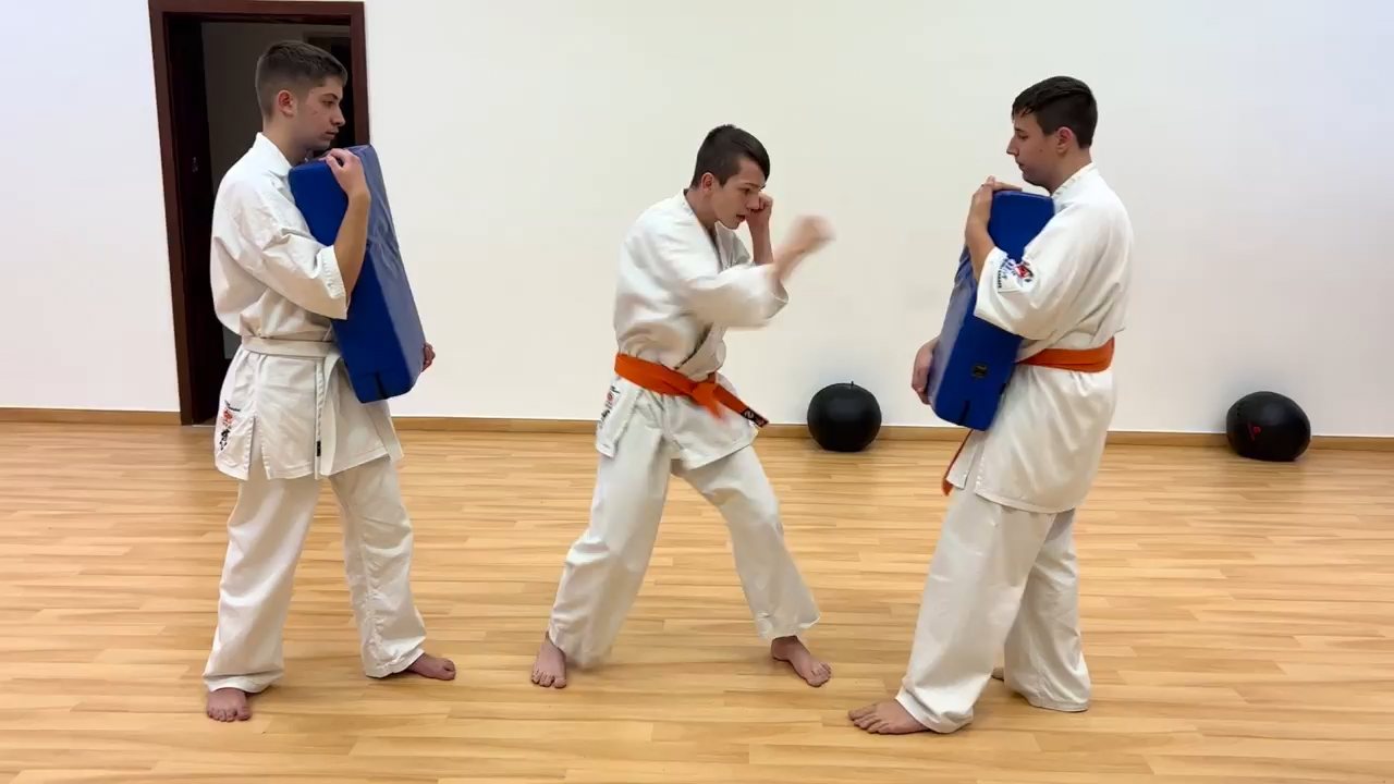 WKB Seishin Dójó heti munka