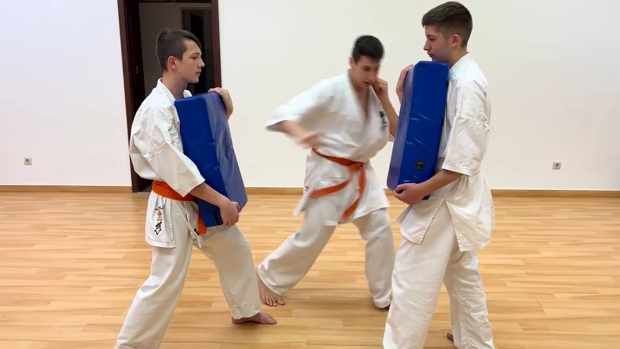 WKB Seishin Dójó heti munka