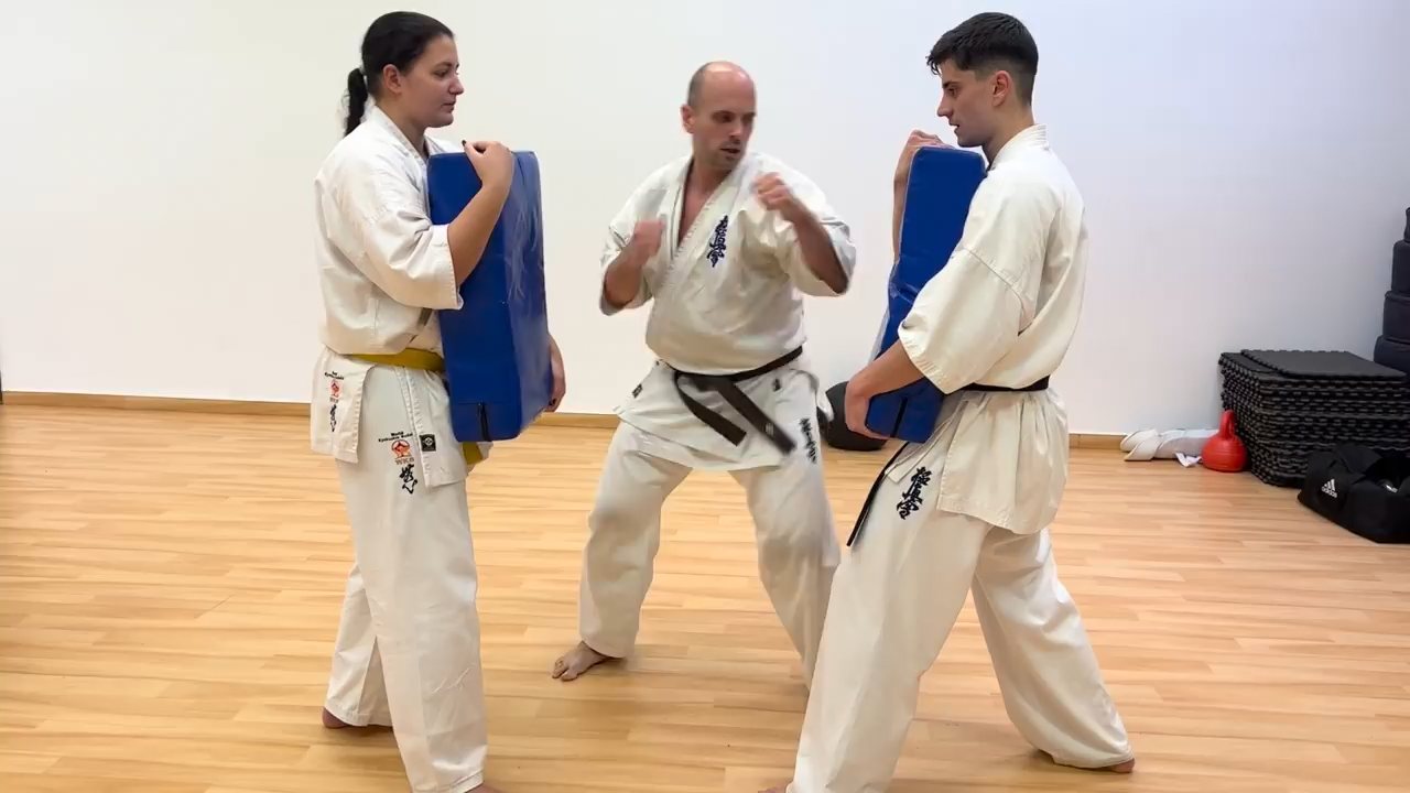 WKB Seishin Dójó heti munka