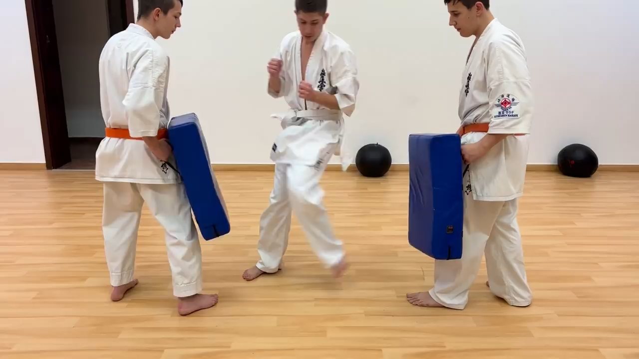 WKB Seishin Dójó heti munka