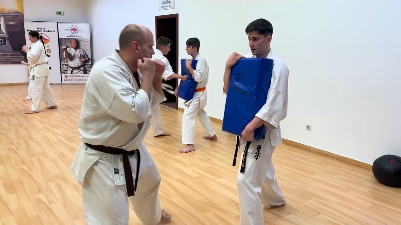 WKB Seishin Dójó heti munka