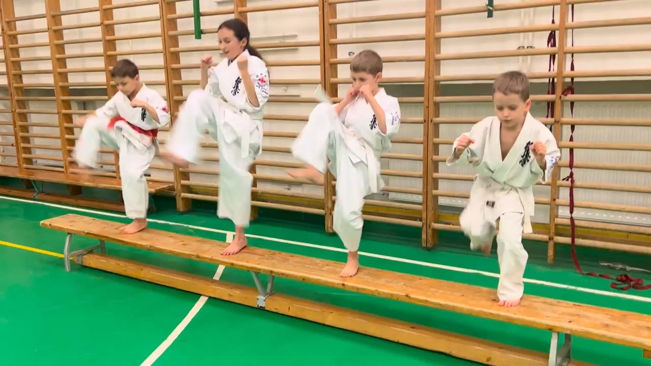 WKB Seishin Dójó heti munka